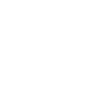 Pixel conseil logo